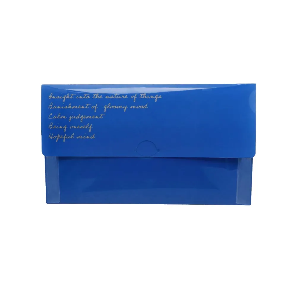 Antibacterial Wide Face Mask Case Blue