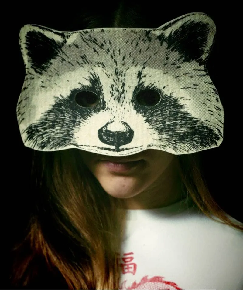 Racoon Felt Mask
